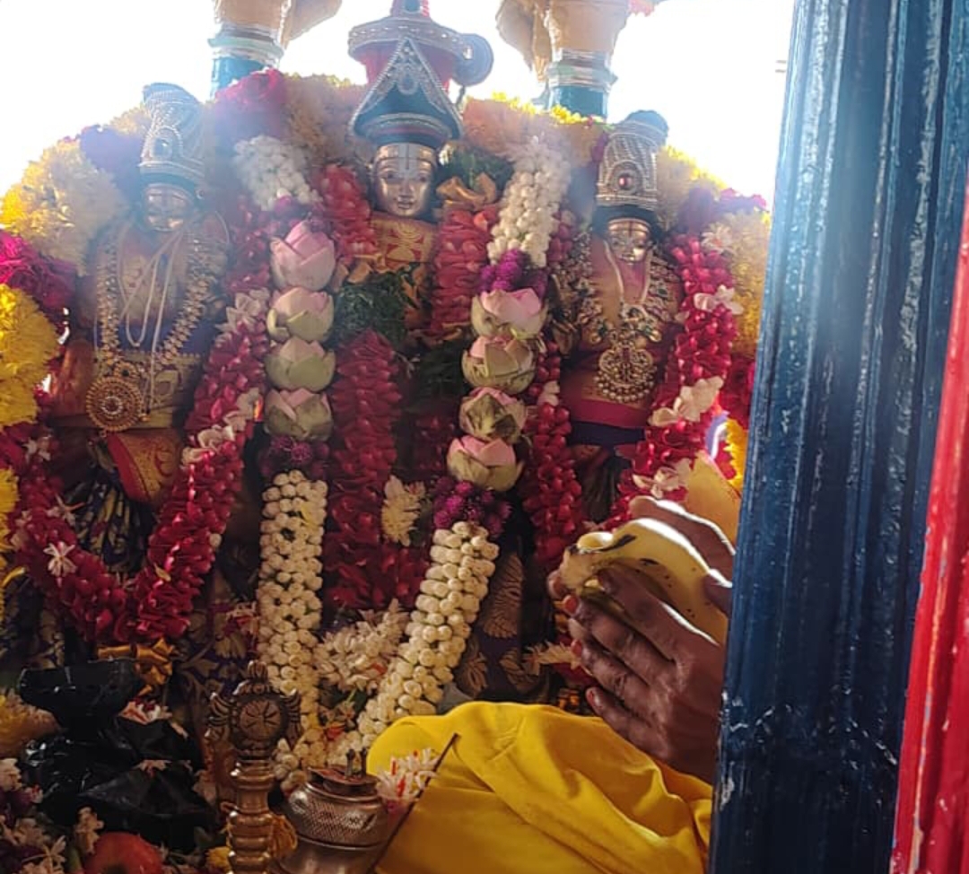 సిరిసిల్ల శ్రీ వేంకటేశ్వరస్వామి బ్రహోత్సవాలు