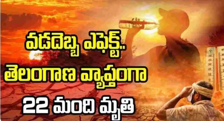 వడదెబ్బ ఎఫెక్ట్.. తెలంగాణ వ్యాప్తంగా 22 మంది మృతి
