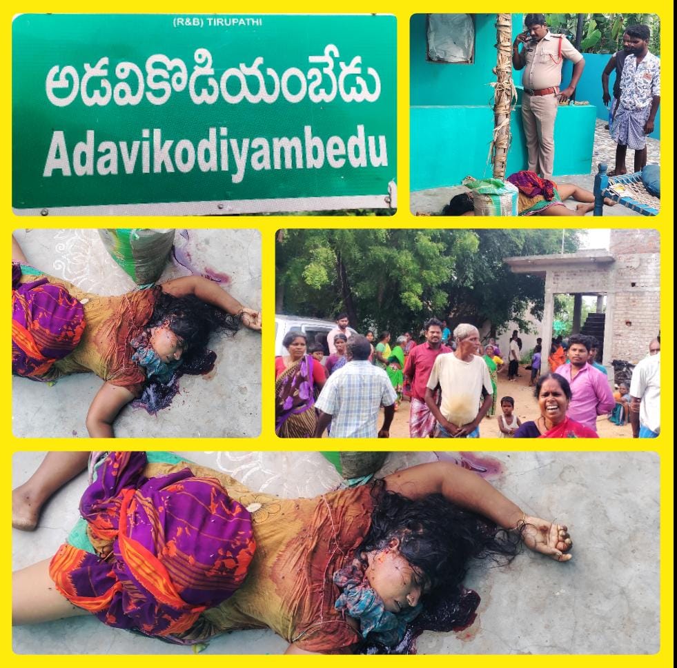 ఒంటరి మహిళను హతమార్చిన దుండగులు