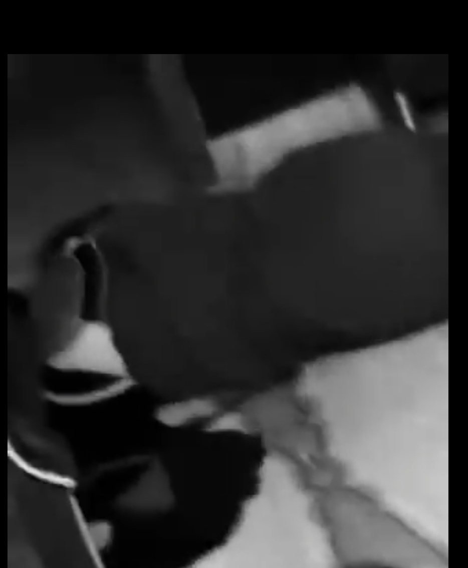 అత్తపై కత్తితో దాడిచేసి దారుణంగా హత్య చేసిన అల్లుడు 