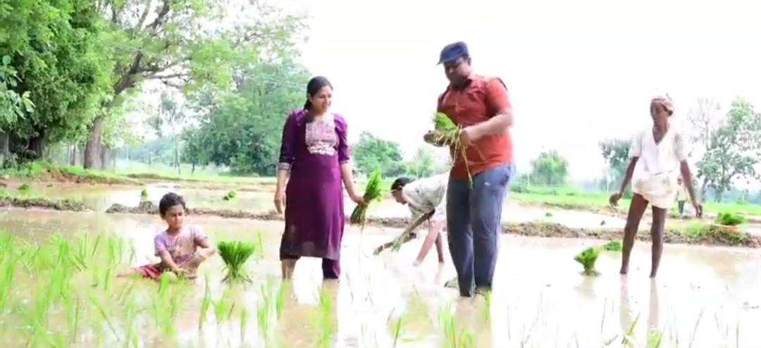 పొలంలోకి దిగి వరి నాట్లు వేసిన మెదక్ జిల్లా కలెక్టర్ రాహుల్ రాజ్ దంపతులు