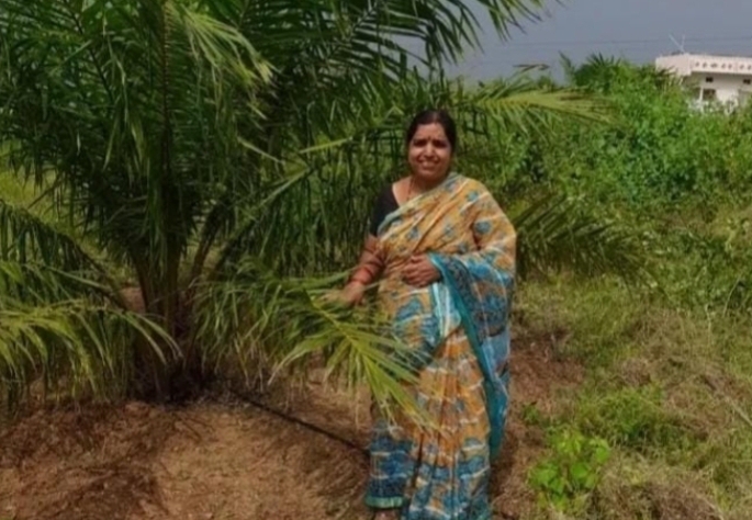 Daily Bharat ఎల్ నినో నీడలో మనిషి : మంజుల పత్తిపాటి