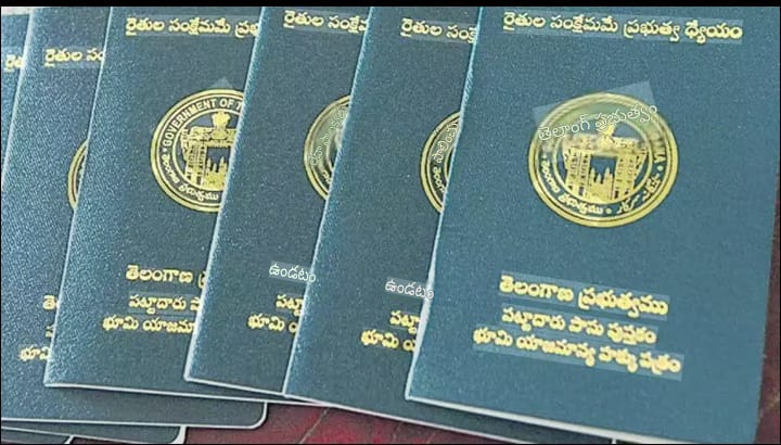 రిలే నిరాహార దీక్ష... దమ్మపేట బీజేపీ పార్టీ 