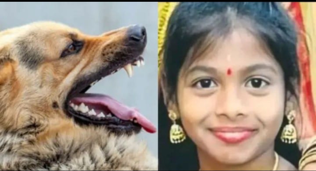 రేబిస్ వ్యాధితో నెలరోజుల తర్వాత మృతిచెందిన చిన్నారి