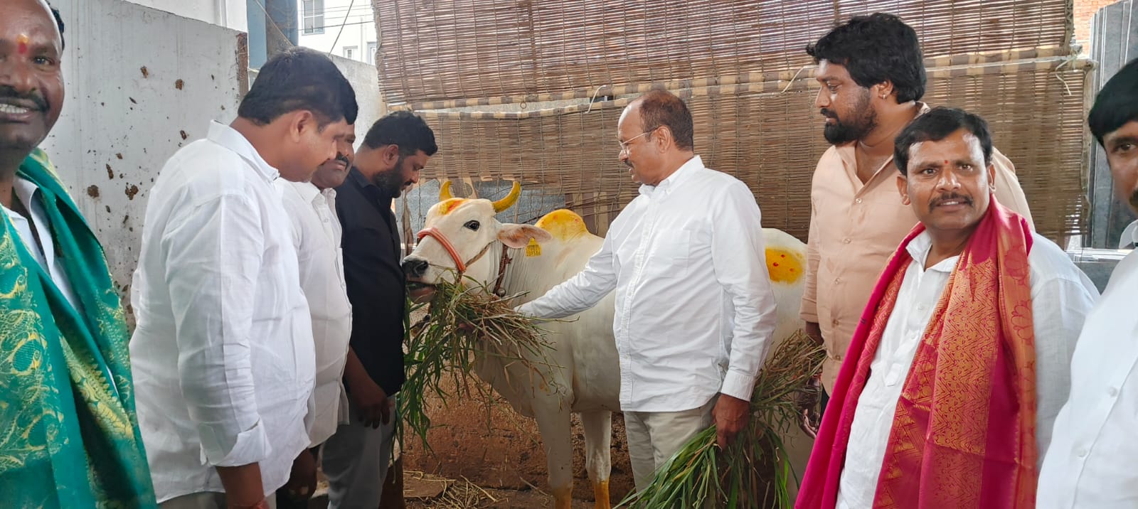 గోమాత సేవలో కిచ్చెన్నగారి లక్ష్మారెడ్డి