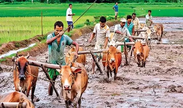 రైతులకు ప్రత్యేక గుర్తింపు కార్డులు.. నమోదు ఎక్కడంటే?