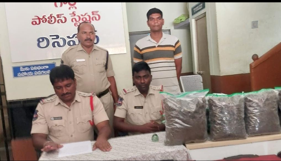 పెద్ద ఎత్తున గంజాయి  పట్టివేత