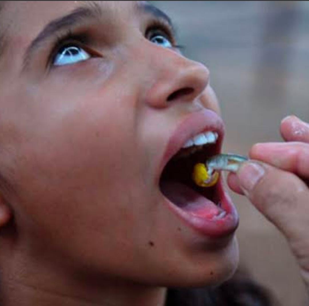 వచ్చేనెల చేప మందు పంపిణీ!