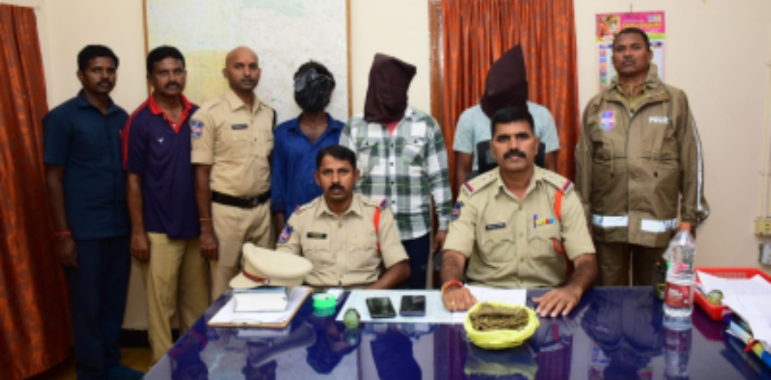 రెండు గంజాయి కేసులో ముగ్గురు నిందుతుల అరెస్ట్, రిమాండ్