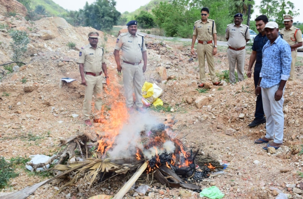 36.436 కేజీల గంజాయిని కాల్చి బూడిద చేసిన పోలీసులు