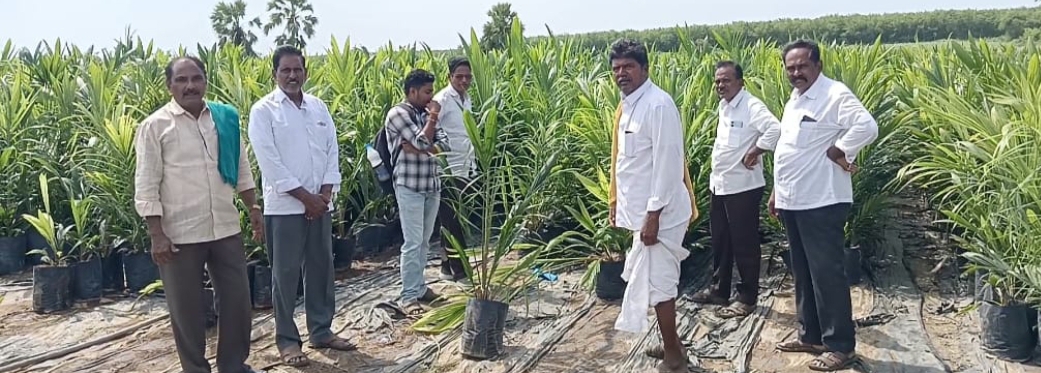 గోద్రెజ్ పామాయిల్ పరిశ్రమ సత్వరమే పూర్తి చేయాలి