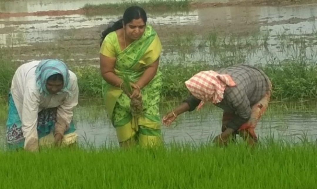 Daily Bharat మట్టి వాసనలో మానవత్వం... మంజుల పతిపాటి జీవన ప్రస్థానం