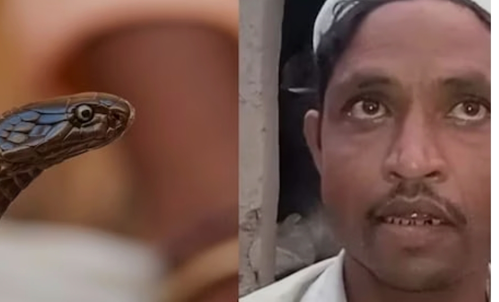 &lsquo;నా భార్య పాములా మారి కాటేస్తోంది&rsquo;.. భర్త వింత వాదన