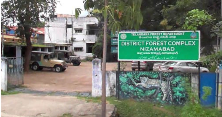 లింగి తండా అటవీ ప్రాంతంలో అటవీ అధికారుల సాక్షిగా స్థానిక తండావాసుల దందా..