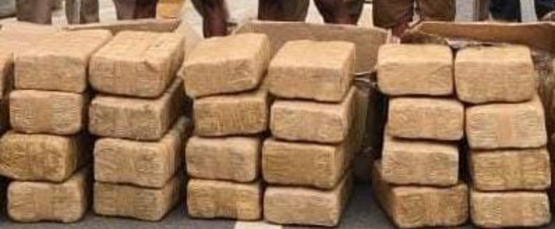 85 లక్షల విలువ గల 243 కిలోల గంజాయిని పట్టుకున్న సైబరాబాద్ ఎస్ఓటీ బాలానగర్ పోలీసులు