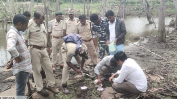 జిల్లాలో పెద్దపులి సంచారం కలకలం