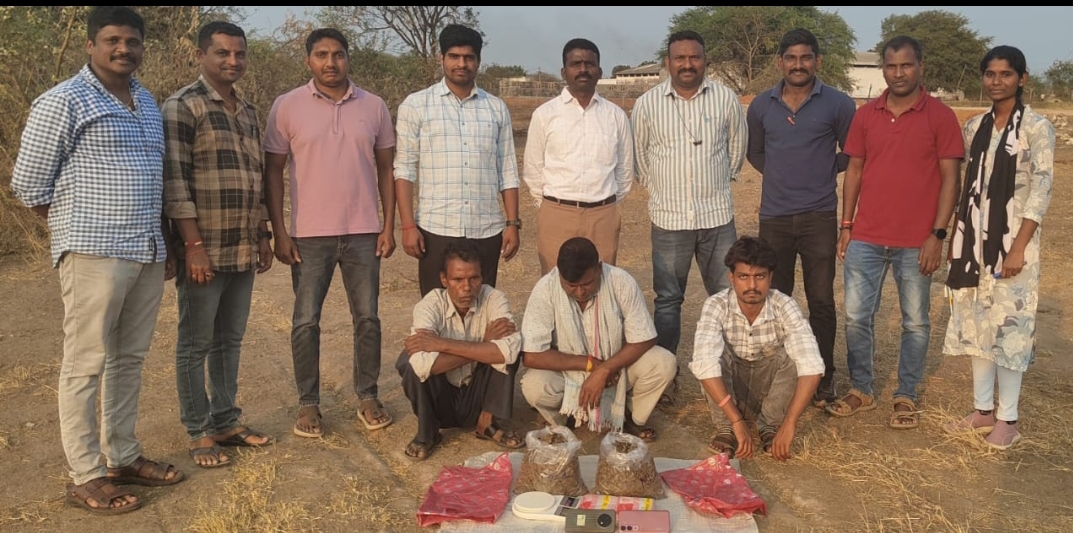 Daily Bharat అక్రమంగా తరలిస్తున్న గంజాయి పట్టివేత