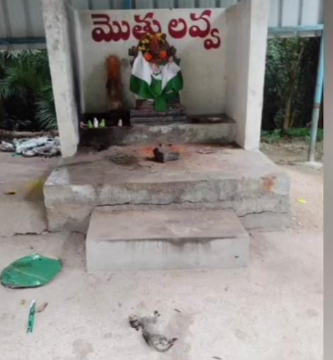 ఆలయాల ముందు పిల్లుల బలి..