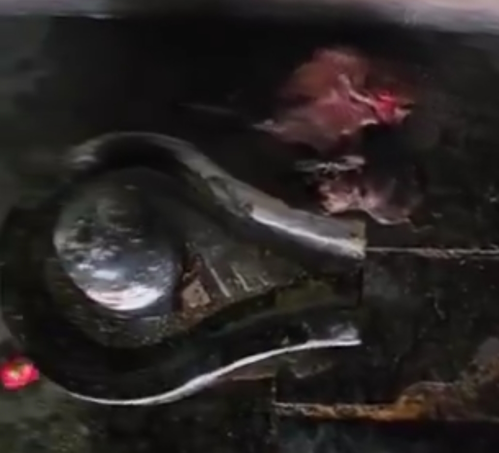 శివాలయంలో మాంసం ముద్దల కలకలం