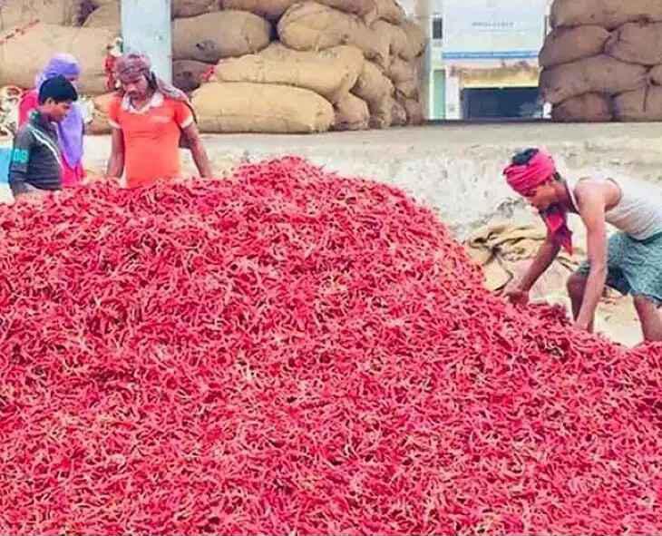 భారీగా పెరిగిన మిర్చి ధరలు.. క్వింటాల్ రూ.44 వేలు