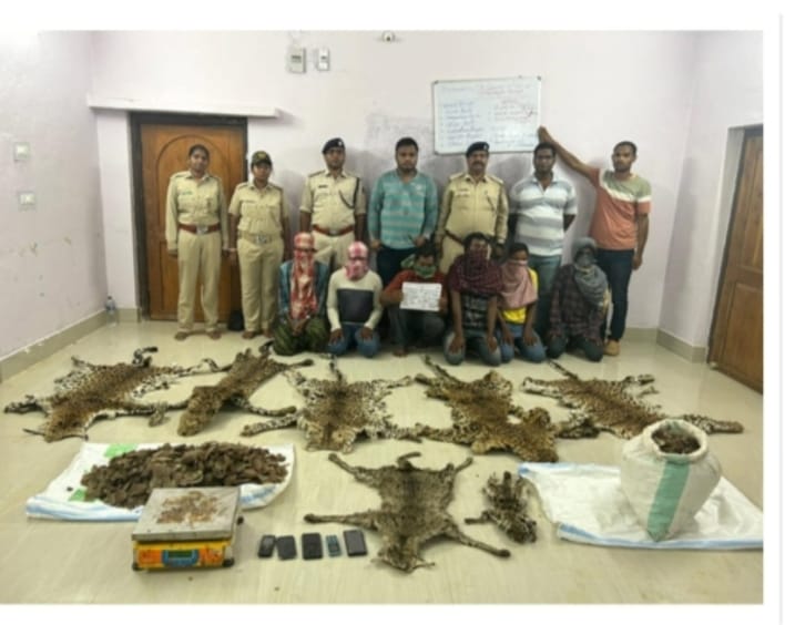 వన్యప్రాణుల చర్మాలు స్వాధీనం