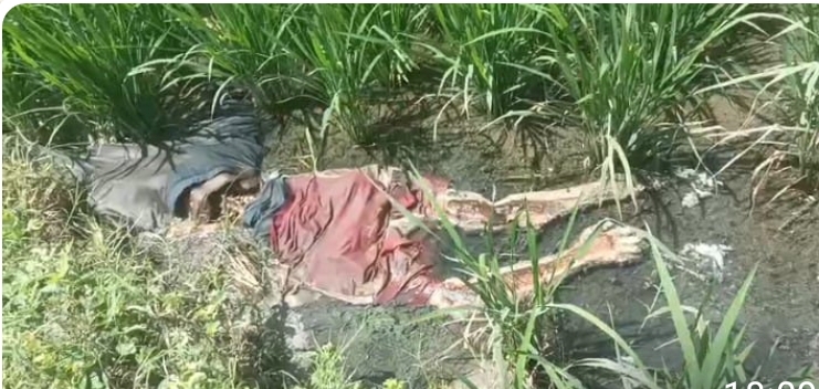 వేల్పూర్ మండలంలో అదృశ్యమైన వ్యక్తి... శవమై తేలిన యువకుడు.