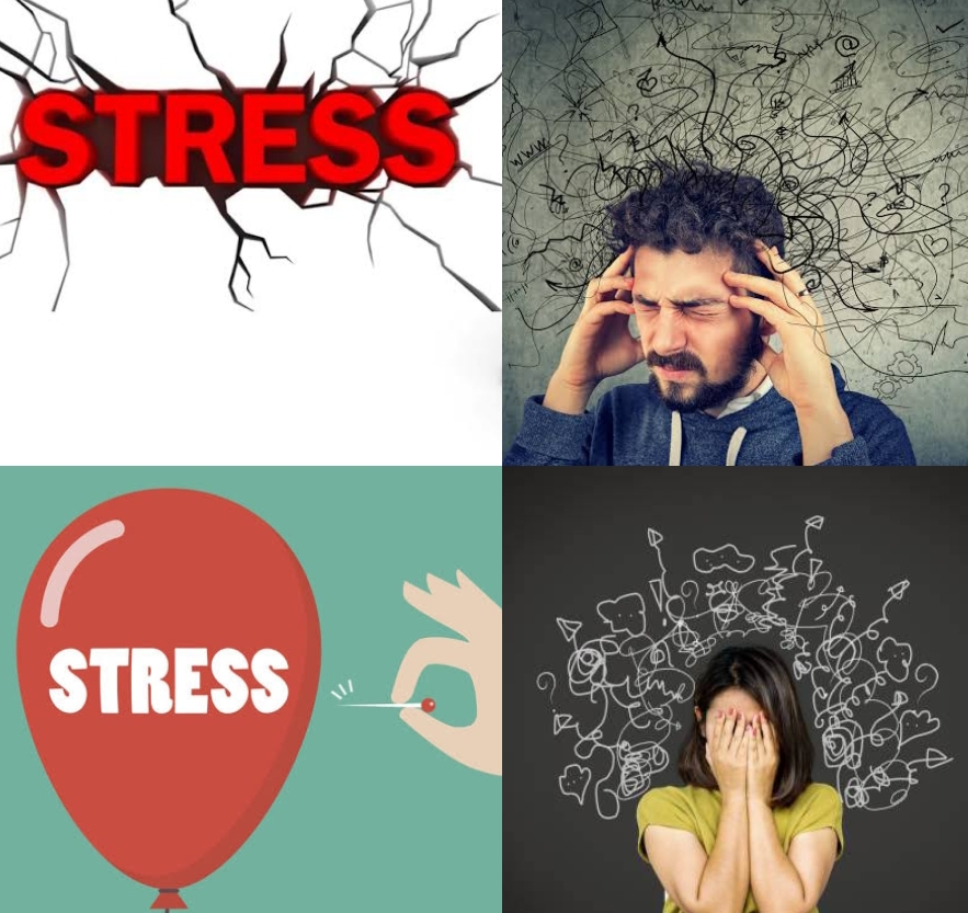 Daily Bharat "మానసిక ఆందోళన...ఇక భయం లేదు" (Anxiety)  (మీ కోసమే మేమున్నాం)